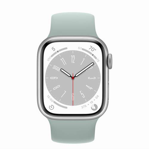 Apple Watch Series 8 - Silver Aluminium 41 мм, ремешок Solo Loop Succulent №422